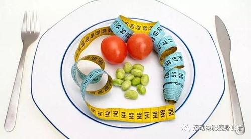 科学减肥娱乐吃瓜酱